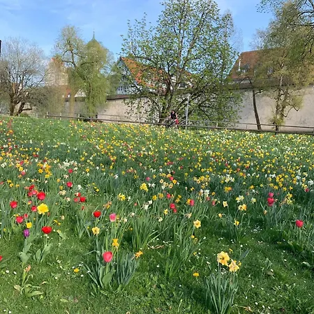 Lucky Isny דירה Isny im Allgäu